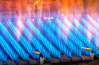 Feeny gas fired boilers